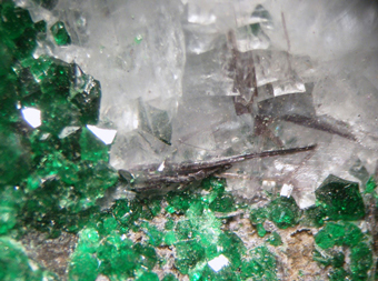 Shuiskite on Uvarovite - Saranovskii mine, Urals Region, Russia