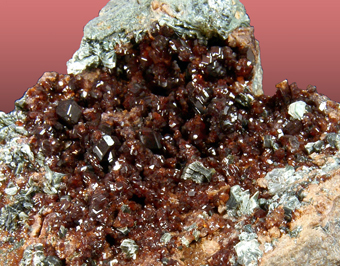 Grossular Garnet var. Hessonite, Faiallo pass, Liguria , Italy