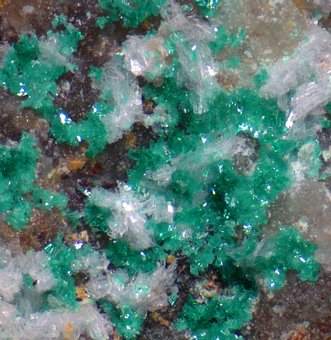 Tondiite (TL) - Santo Domingo mine, Caleta V�tor district, Arica and Parinacota Region, Chile