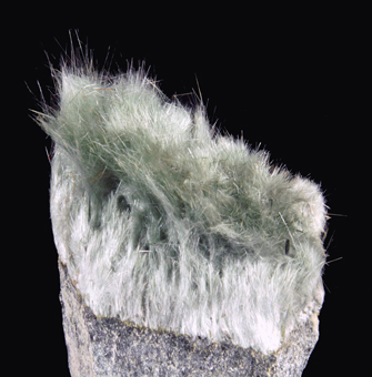 Byssolite - Aiguilles Grises, D�me Glacier,  Veny Valley, Aosta Valley, Italy