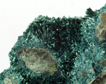Gormanite - Rapid Creek area, Yukon, Canada