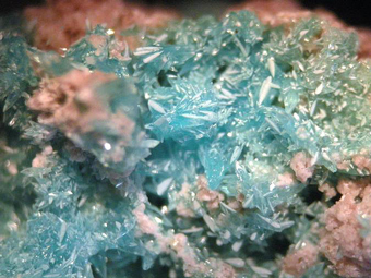 Rruffite - Jote Mine, Tierra Amarilla, Atacama, Chile