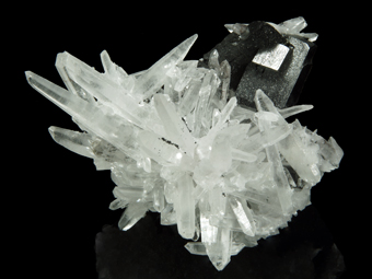 Ferberite and Quartz - Mundo Nuevo mine, Huamachuco, La Libertad, Peru
