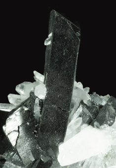 Ferberite and Quartz - Mundo Nuevo mine, Huamachuco, La Libertad, Peru