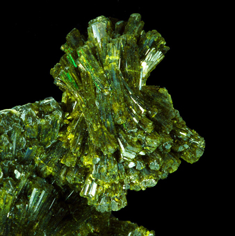 Epidote - Concession Morgan 3, Coayllo, Ca�ete, Ica, Peru