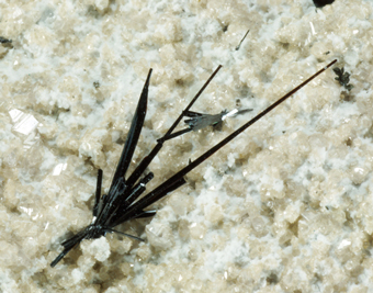 Pseudobrookite - Thomas Range, Utah, USA