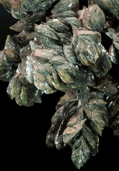 Descloizite - Berk Aukas mine, Grootfontein district, Otjozondjupa Region, Namibia