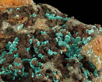 Rosasite - Ojuela mine, Mapim�, Durango, Mexico