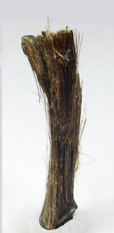 Balangeroite (TL) - Poggio San Vittore asbestos mine, Balangero, , Piedmont, Italy