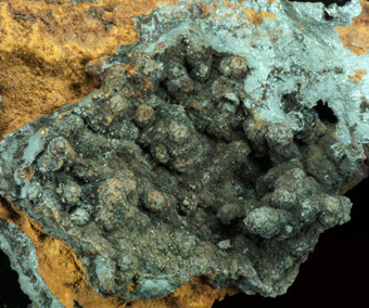 Woodruffite - Ojuela Mine, Mapim�, Mun. de Mapim�, Durango, Mexic