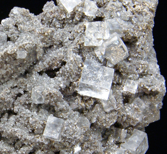 Fluorite and pyrite, Emilio mine, Loro�e, Asturias, Spain