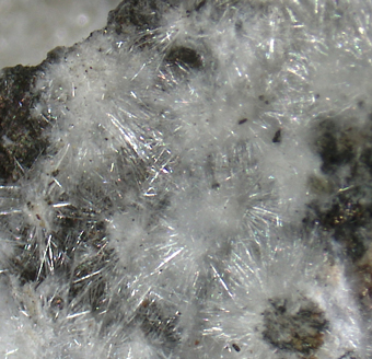 Canavesite (TL) and Dypingite - Brosso Mine, Brosso - Italy