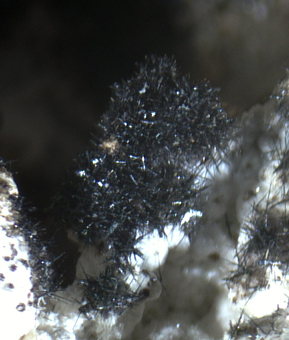 Plattnerite, Smithsonite - Zorzone mine, Vedra Valley, Lombardy, Italy