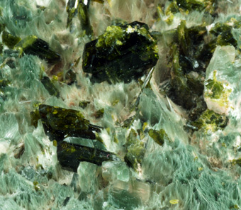 Byssolite and Epidote - Chisone Valley, Torino Province, Piedmont, Italy