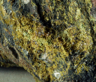 Cuprorom�ite - Bali South, Ashburton Downs Station, Western Australia, Australia