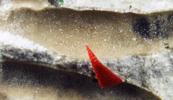 Rosiaite - Le Cetine mine, Chiusdino, Tuscany, Italy