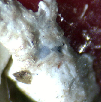 Bazzite - Seula mine, Oltrefiume, Baveno, Piedmont, Italy