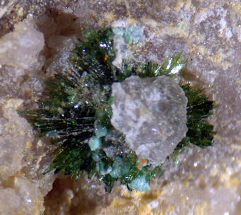 Bellingerite - Chuquicamata mine,Calama, Antofagasta, Chile
