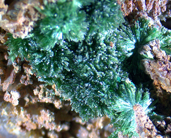 Libethenite- Las Pintadas mining district, Copiap�, Atacama, Chile