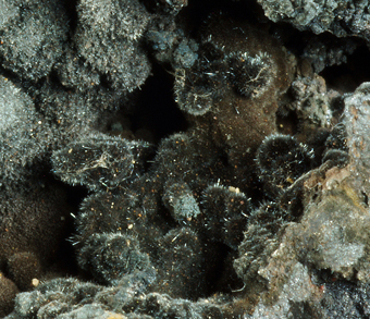 Woodruffite - Ojuela mine, Mapimi, Durango, Mexico