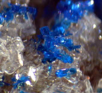 Kinoite xx, Ruizite xx (TL), Aphophylite - Christmas mine, Christmas, Arizona, USA