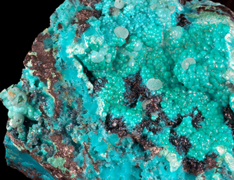 Chalcophyllite - Salsigne mine, Salsigne, Languedoc-Roussillon, France