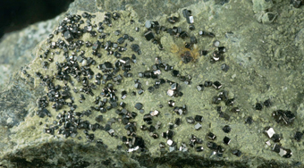 Magnetite xx, Lizardite - Monte dei Tre Abati, Coli, Emilia-Romagna, Italy