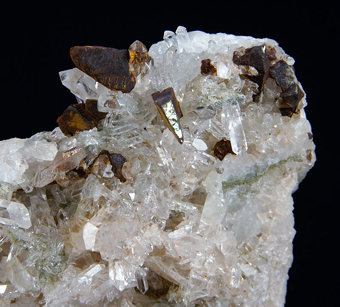 Chalcopyrite and Quartz - Neve quarry, Masso, Liguria, Italy