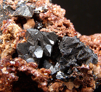 Hausmannite on Andradite  - N'Chwaning II Mine - South Africa