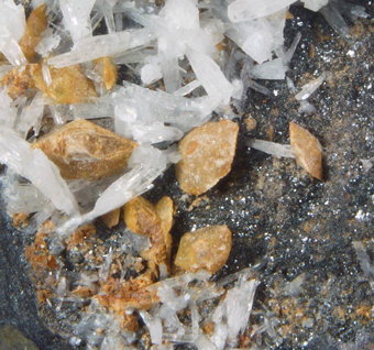 Sturmanite and Celestite - N'Chwaning II mine, Kuruman, KMF - South Africa