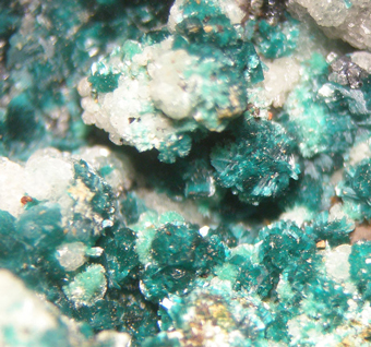 Antlerite - Serrabottini, Tuscany, Italy