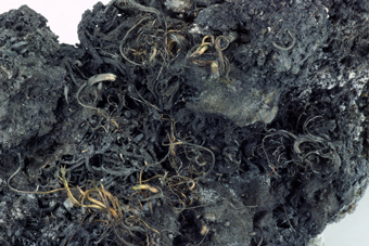 Silver on Acanthite - Imiter mine, Djebel Saghro, Souss-Massa-Dra� Region, Morocco