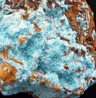 Aurichalcite on limonite - Campiglia Marittima, Italy