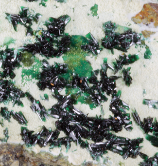 Atacamite and Olivenite - La Farola Mine, Chile
