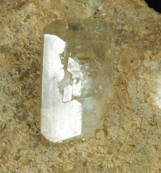 Baryte in septaria - Vernasca, Piacenza, Emilia Romagna, Italy