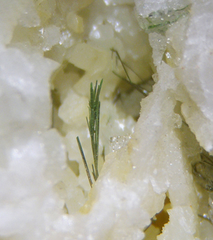 Jamborite (TL) and Millerite - Ca' dei Ladri, Emilia-Romagna, Italy