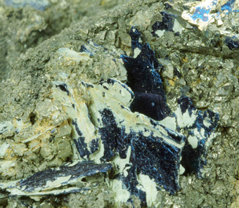 Covellite, Calabona mine, Alghero, Sardinia, Italy