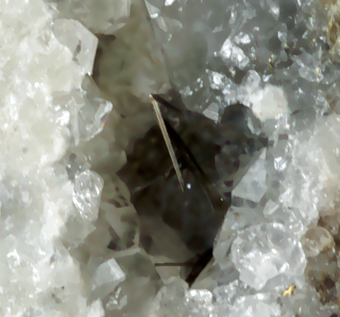 Millerite, Ca' dei Ladri, Emilia-Romagna, Italy