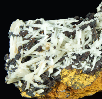 Cerussite, Montevecchio mines, Arbus, Sardinia, Italy