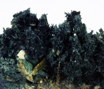 Omphacite and Glaucophane - Bric Vert, Quincinetto, Piedmont, Italy