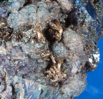 Silver on Bornite, San Martin mine, Sombrerete, Zacatecas, Mexico