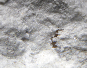 Nekoite, La Cotita quarry, Atacama Region, Chile