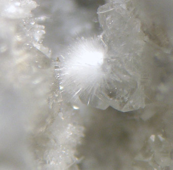 Nekoite, La Cotita quarry, Atacama Region, Chile