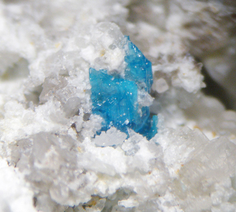 Caledonite, Dos Adriana Mine, Atacama Region, Chile