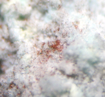 Perroudite, Capitana mine, Atacama Region, Chile