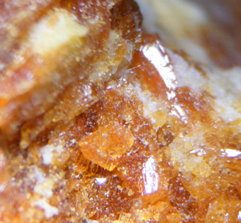 Botryogen, Paposo, Antofagasta Region, Chile