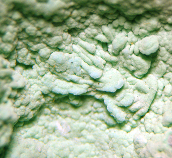 Zalesiite, Tucumana Mine, Inca de Oro, Chile