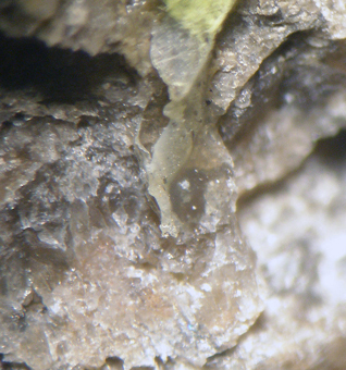 Phosphowalpurgite (TL), Smrkovec, Bohemia, Czech Republic.