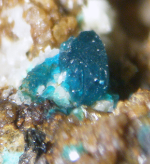 Veszelyite (TL) - Ocna de Fier-Dognecea district, Banat Mts, Caras;-Severin Co., Romania