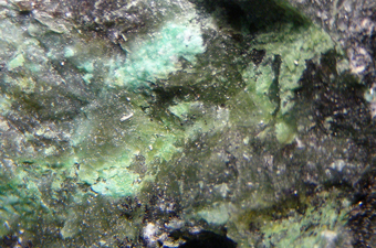 Nimite - Eibenthal, Mehedinti Co., Romania